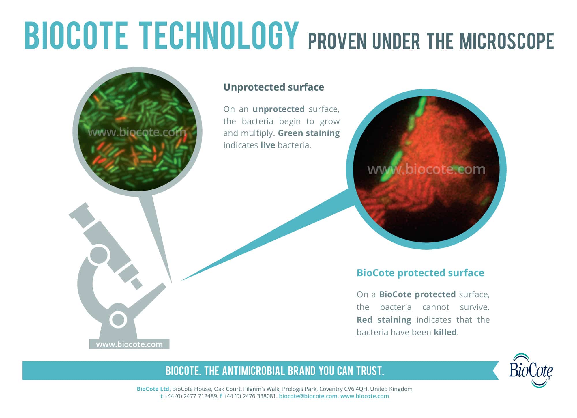Proven_under_the_microscope