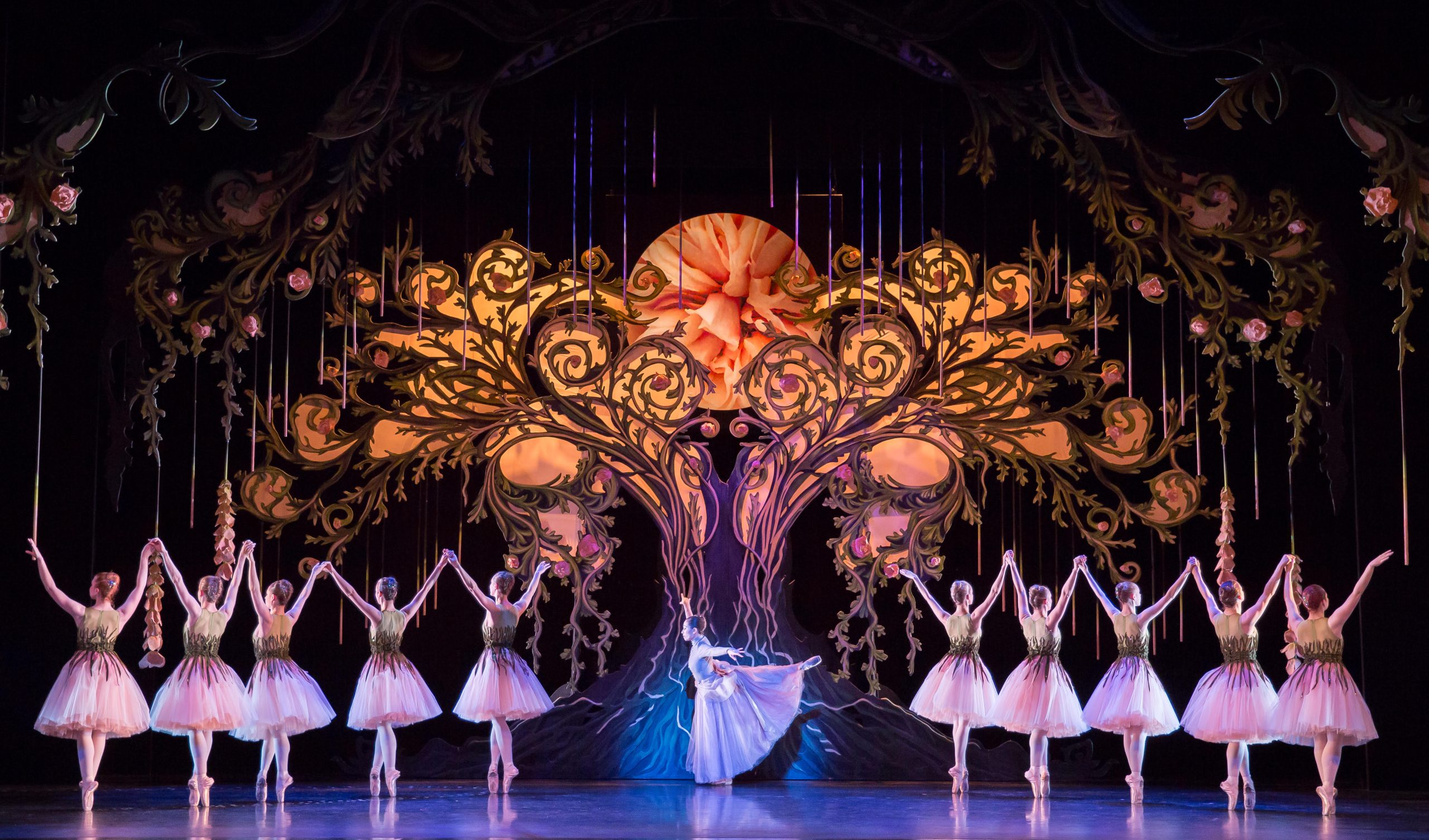 scottish ballet 1 scaled